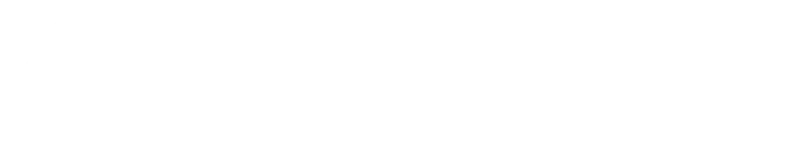 Pioneer DJ logo